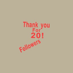 20 Followers