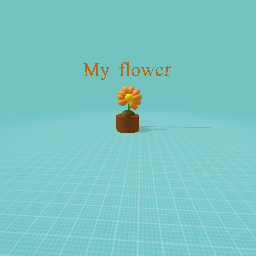 My flower