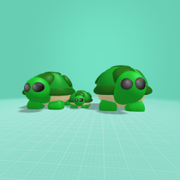 turtle family