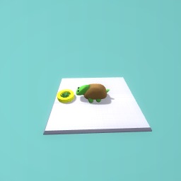 Turtle