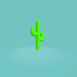 The big catus!