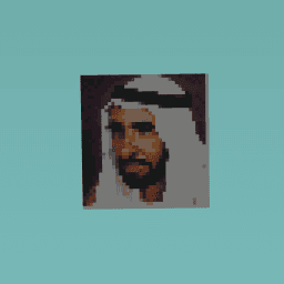 الشيخ زايد
