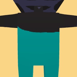 new costume