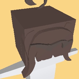 Hair with a hairclip