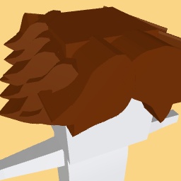 Shedletsky hair