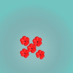 5 flowers