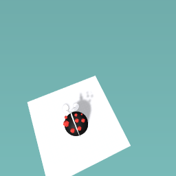 ladybug