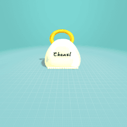 Chanel bag