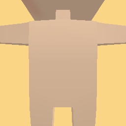 Blush(for crop top outfits)