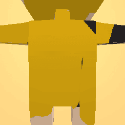 new costume