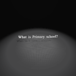 What is Primary school?