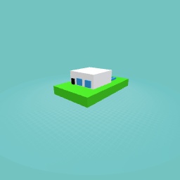 Shelter