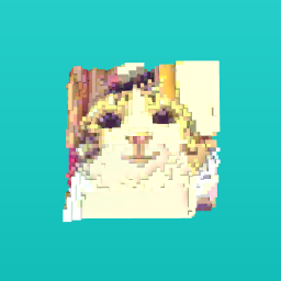 Cats | Smiling Kitten Meme