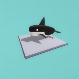 Whale
