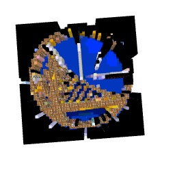 Golden states warriors