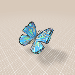 Blue Morpho Butterfly
