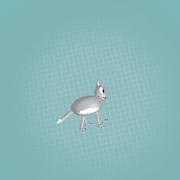 grey cat