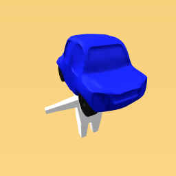 car hat