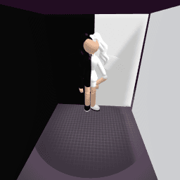 The Black -N -White gurl