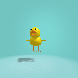 Duck