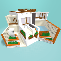 Modern house