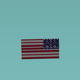 U.S.A
