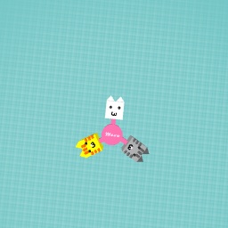 Goodbye big buider, hello cats