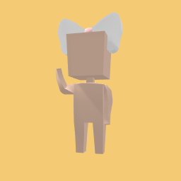 a bow for 1 coin!