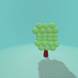 An tree