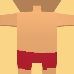 new costume