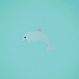 dolphin