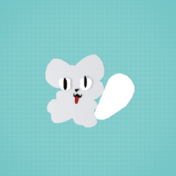 My cat