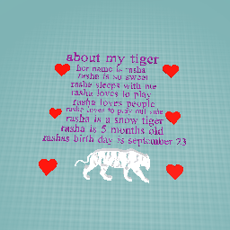 all about my pet tiger rasha