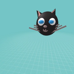 the cat