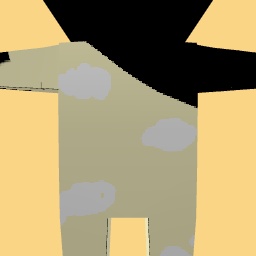 new costume