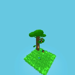 The garden