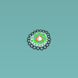 EXPO 2020DUBAI - UAE