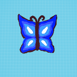 Midnight Butterfly