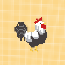 cute rooster