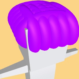 rumi's hair