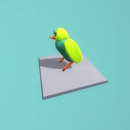 bird