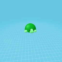 Baby turtle