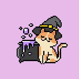 witch cat