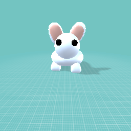Bunny