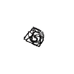 The maze with no end