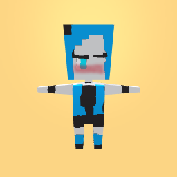 my minecraft skin in makers empire