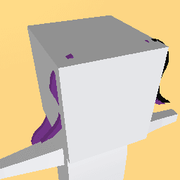 Ponie tails that come with my hoodie