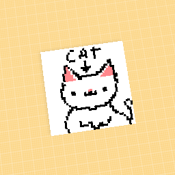 A cat
