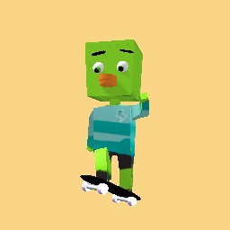 Sk8 duck