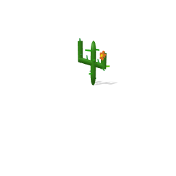 cactuuuuuuuuus!!